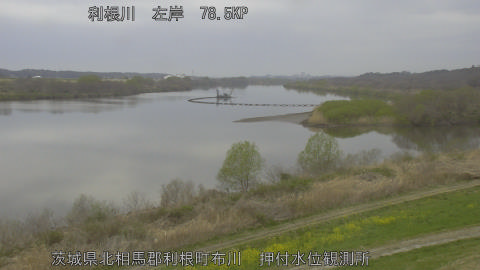 tonos2026032507_image