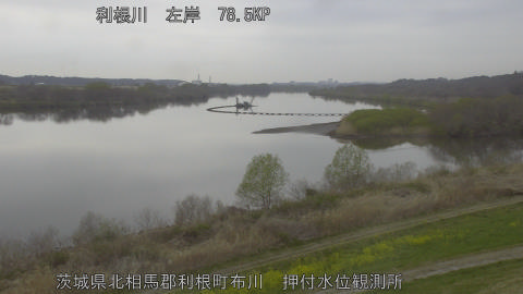 tonos2026032508_image