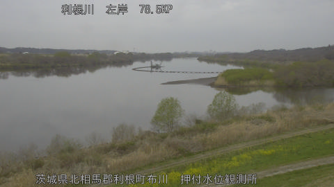 tonos2026032509_image