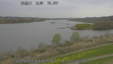 tonos2026032511_image