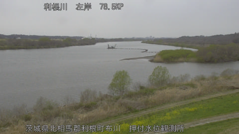 tonos2026032512_image