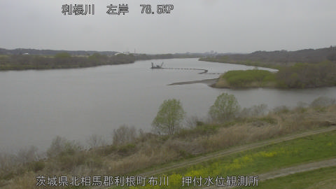 tonos2026032513_image