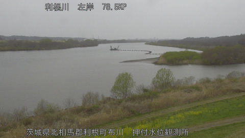 tonos2026032514_image