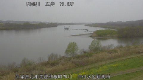 tonos2026032515_image