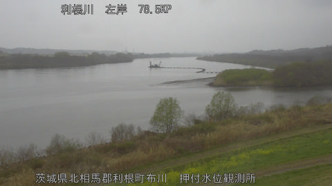 tonos2026032516_image