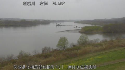 tonos2026032517_image