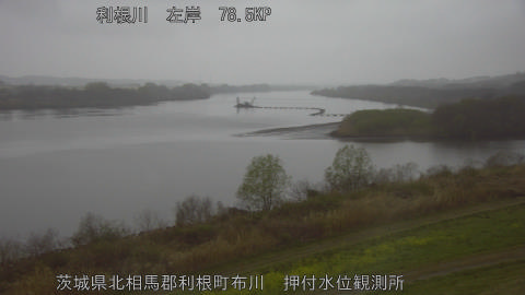 tonos2026032518_image