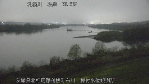 tonos2026032520_image