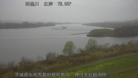 tonos2026032606_image