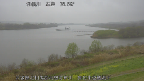 tonos2026032607_image