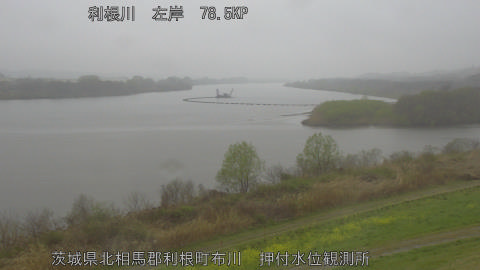 tonos2026032608_image