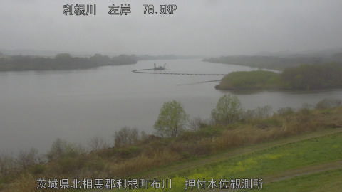 tonos2026032609_image