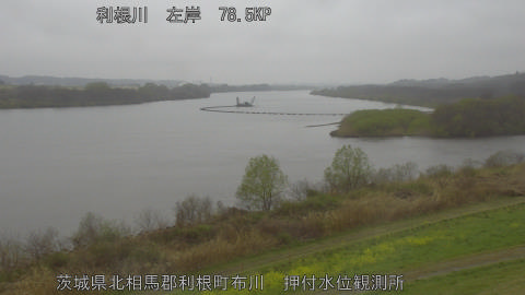 tonos2026032611_image