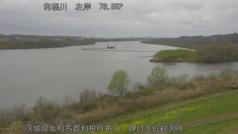 tonos2026032615_image