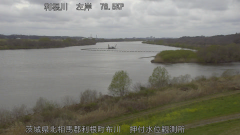 tonos2026032616_image