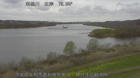 tonos2026032617_image