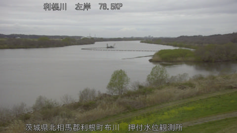 tonos2026032618_image