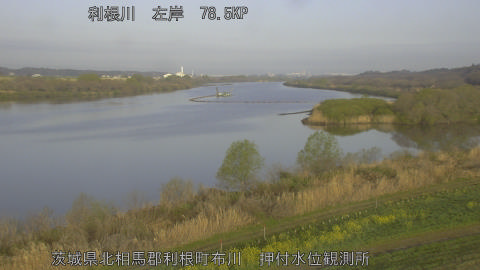 tonos2026032707_image