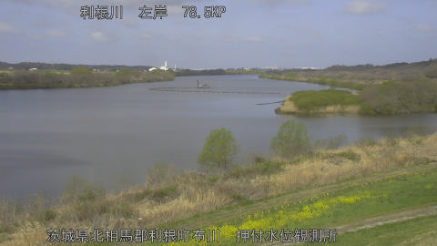 tonos2026032709_image