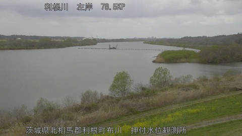 tonos2026032711_image