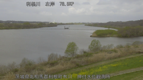 tonos2026032712_image