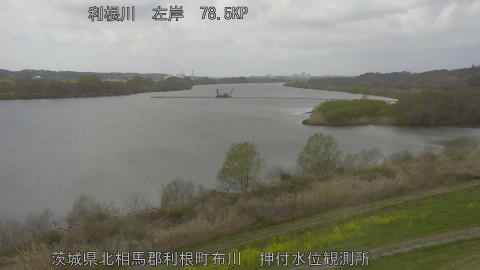 tonos2026032713_image