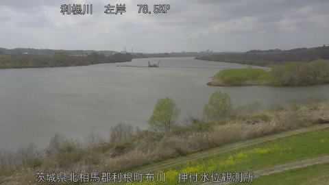 tonos2026032714_image