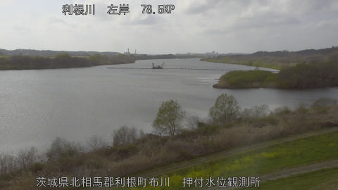 tonos2026032715_image