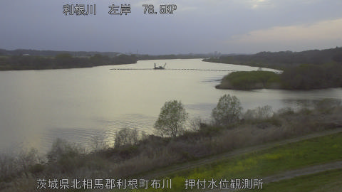 tonos2026032718_image