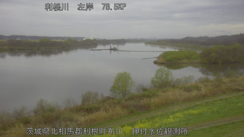 tonos2026032806_image