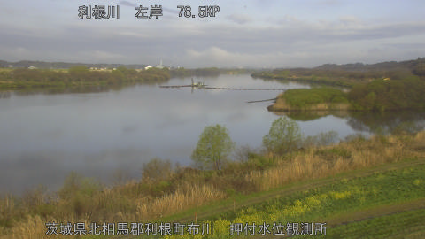 tonos2026032807_image