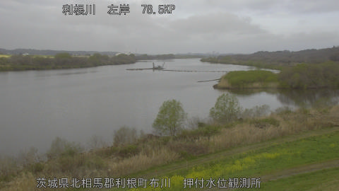 tonos2026032808_image