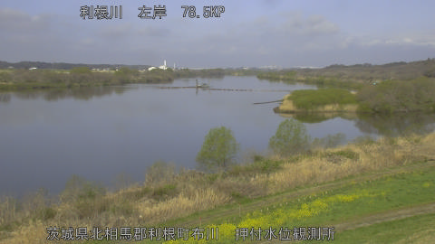 tonos2026032809_image