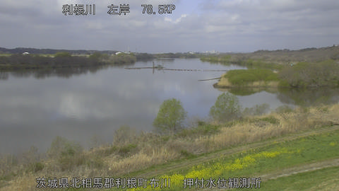 tonos2026032810_image