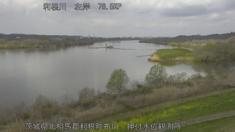 tonos2026032811_image