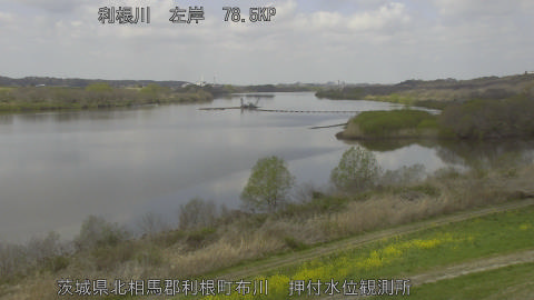 tonos2026032812_image