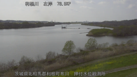 tonos2026032814_image