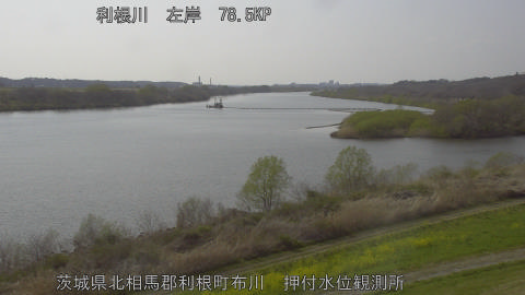 tonos2026032815_image