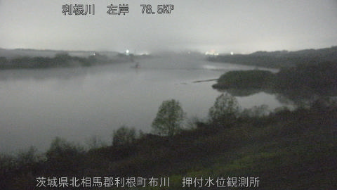 tonos2026032904_image