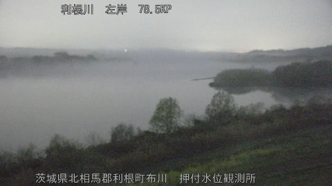 tonos2026032905_image