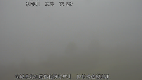 tonos2026032906_image