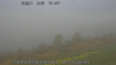 tonos2026032907_image