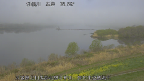 tonos2026032908_image