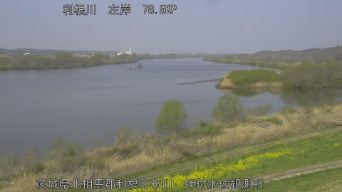 tonos2026032910_image