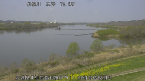 tonos2026032911_image