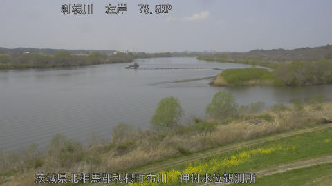 tonos2026032912_image