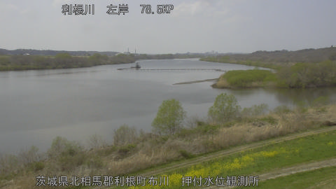 tonos2026032913_image