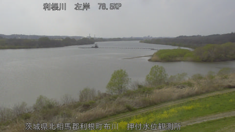 tonos2026032914_image