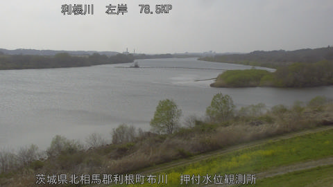 tonos2026032915_image