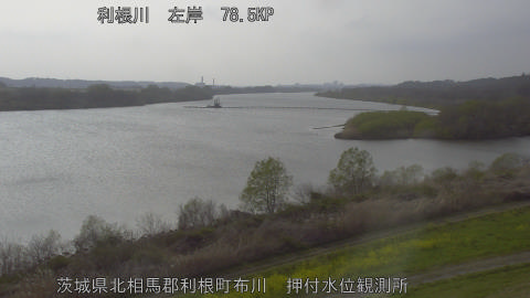 tonos2026032916_image